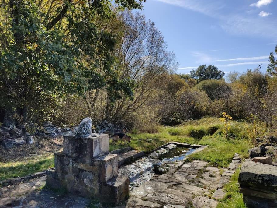 Casa Rural Tozolosolobos Otero de Bodos Dış mekan fotoğraf