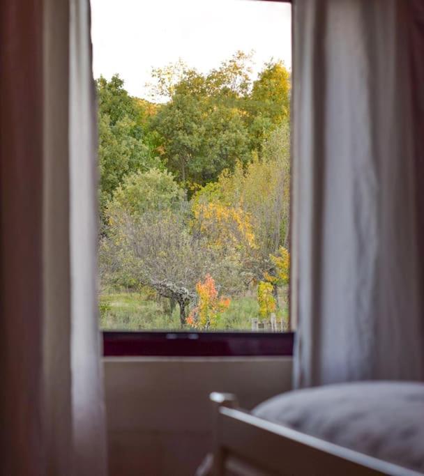 Casa Rural Tozolosolobos Otero de Bodos Dış mekan fotoğraf