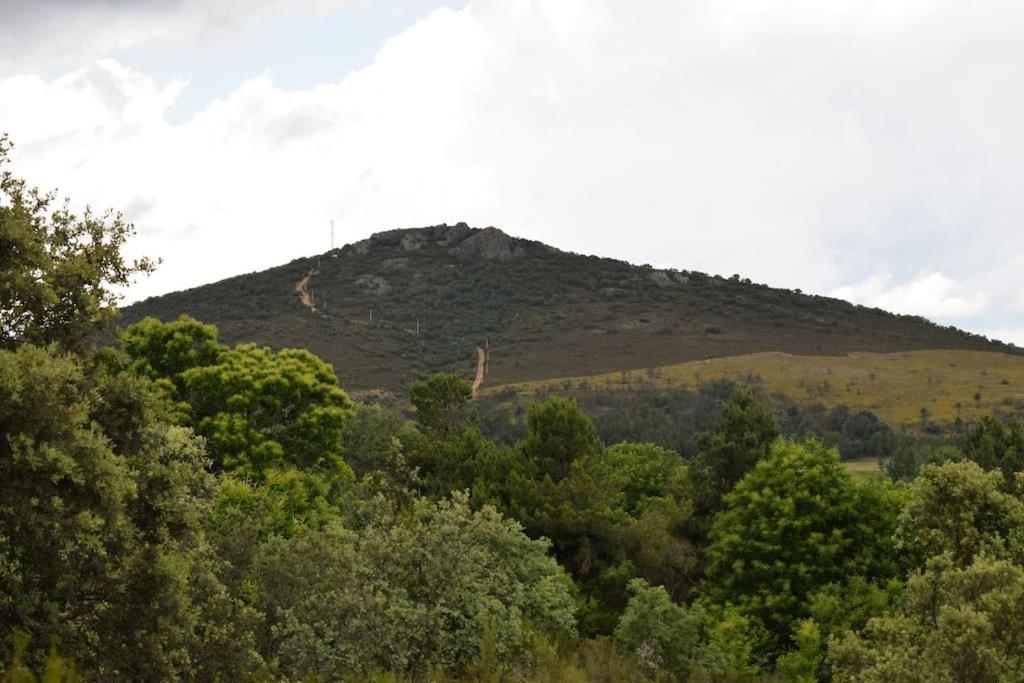 Casa Rural Tozolosolobos Otero de Bodos Dış mekan fotoğraf